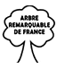 Logo arbre remarquable